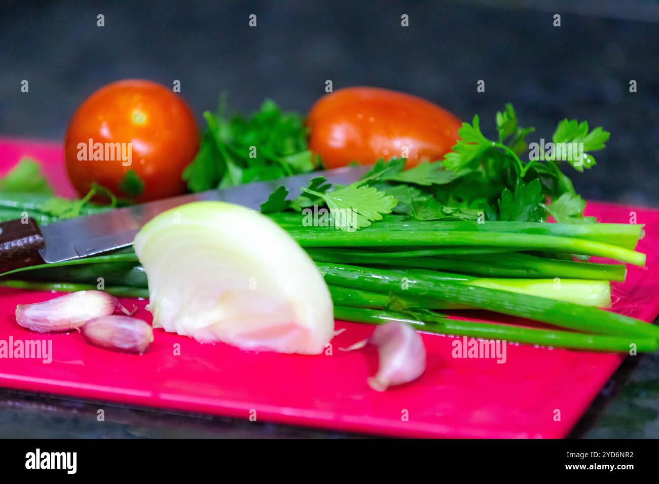 Klassische Kombination von Gemüse zum Kochen, Knoblauch, Zwiebeln, Tomaten, Petersilie, Schnittlauch und Rosmarin Stockfoto