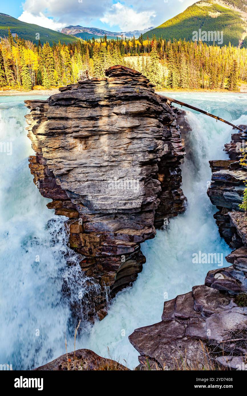 Der Felsen teilt die Athabasca Falls Stockfoto