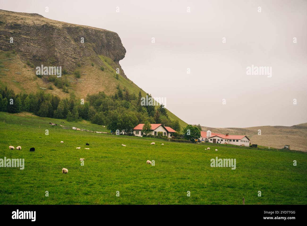 Das abgelegene Tal im isländischen Hochland. Hochwertige Fotos Stockfoto