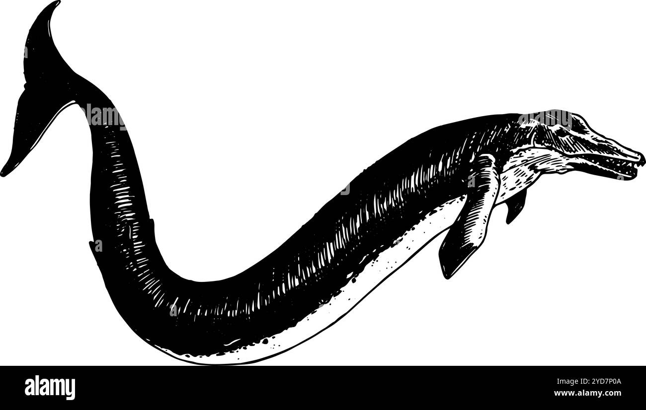 Basilosaurus – handgezeichnete Illustration eines ausgestorbenen Wals | realistisch, detailliert in Schwarz und weiß, inspiriert von Vintage-Stilen Stockfoto