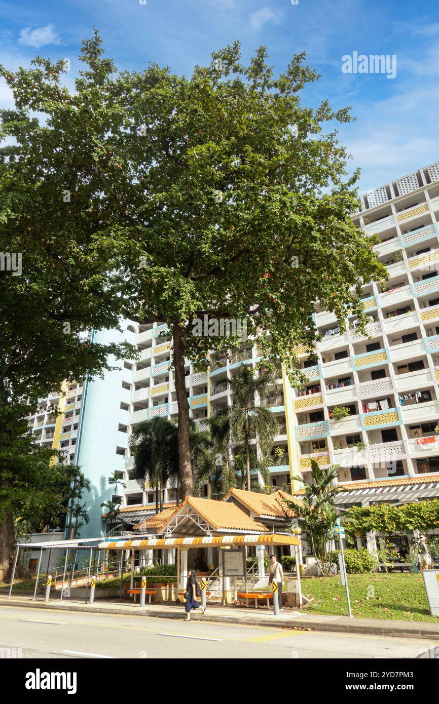 Wohngebäude in dem Gebäude, das moderne und traditionelle chinesische Architektur an der Neil Road, Tanjong Pagar, Singapur kombiniert Stockfoto
