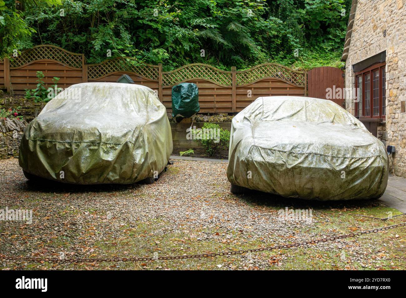 Klassische Autos, die mit einer staubigen Decke bedeckt sind, liegen ruhig auf einer ruhigen Auffahrt, umgeben von üppigem Grün in einem abgeschiedenen Garten Stockfoto