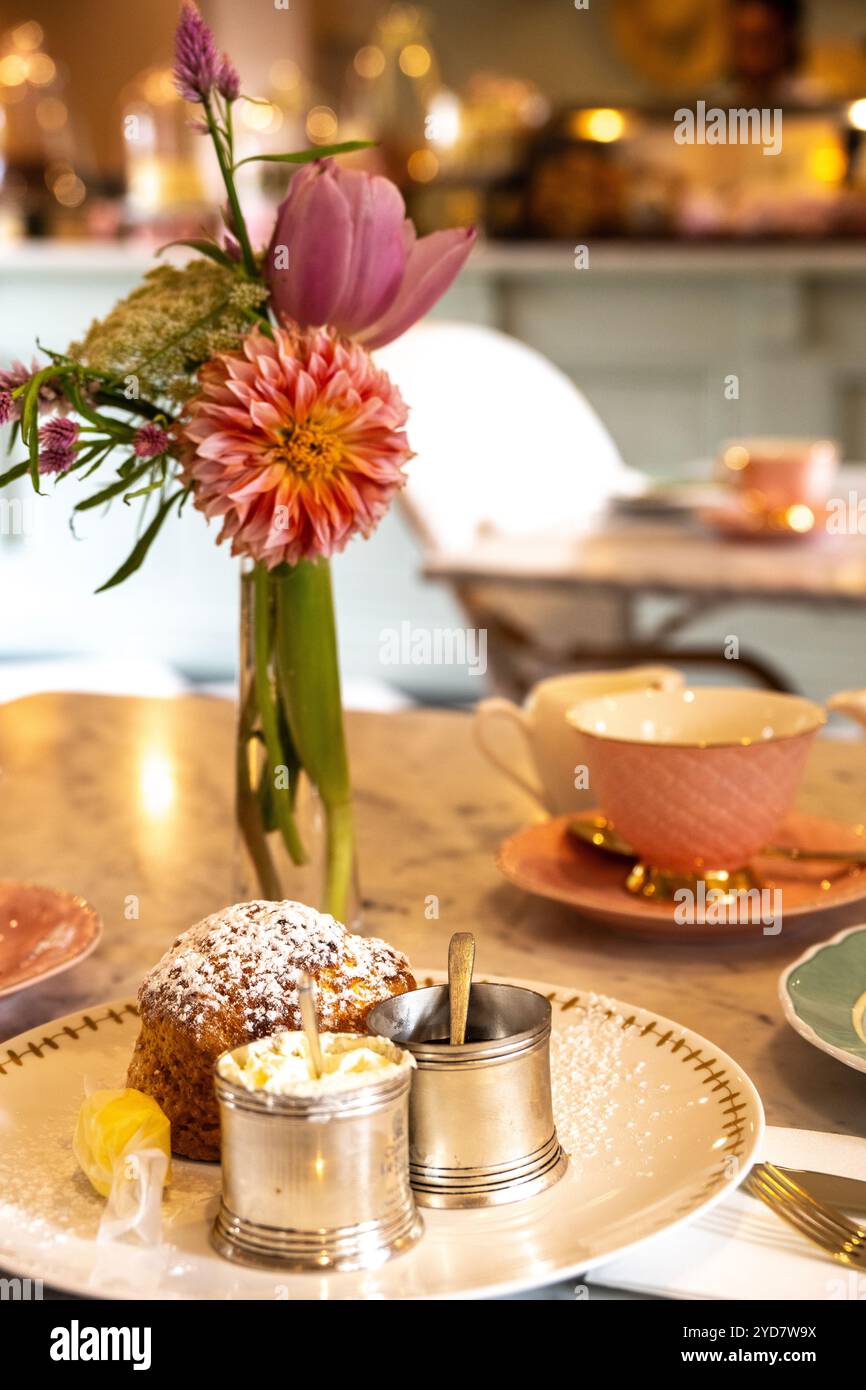 Scone und Clotted Cream zum Tee im Rose Terrace Tea Room in Vergelegen Stockfoto