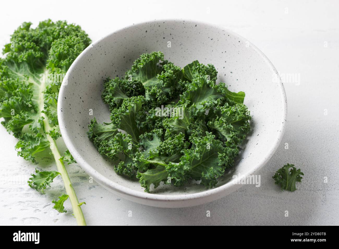 Gehackte frische, lockige Grünkohl-Blätter in einer Keramikschale auf hellgrauem Hintergrund. Gesunde Entgiftungskost. Stockfoto