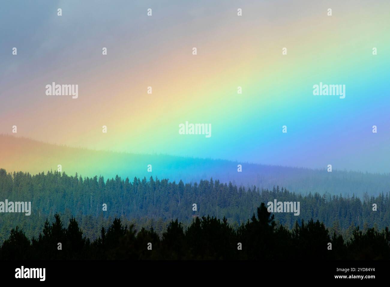 Rainbow am Davis Lake, Cascade Lakes National Scenic Byway, Deschutes National Forest, Oregon Stockfoto