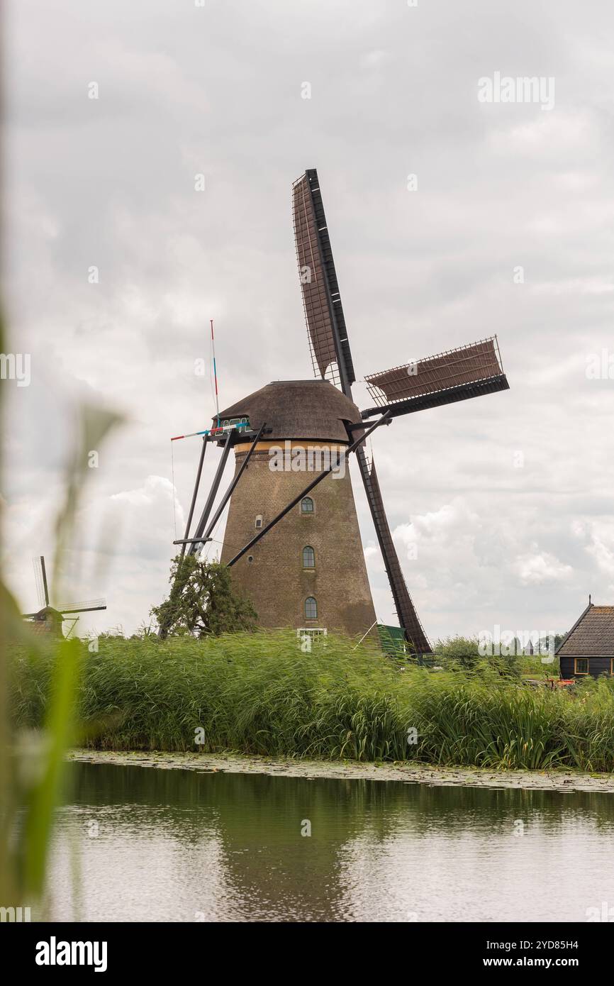 Windmühle in den Niederlanden. Windmühle in den Niederlanden. Schilfgras im Vordergrund. Kinderdijk in den Niederlanden, bewölkter Tag, Sommer. niederlande kinderdijk B97A7644 Stockfoto