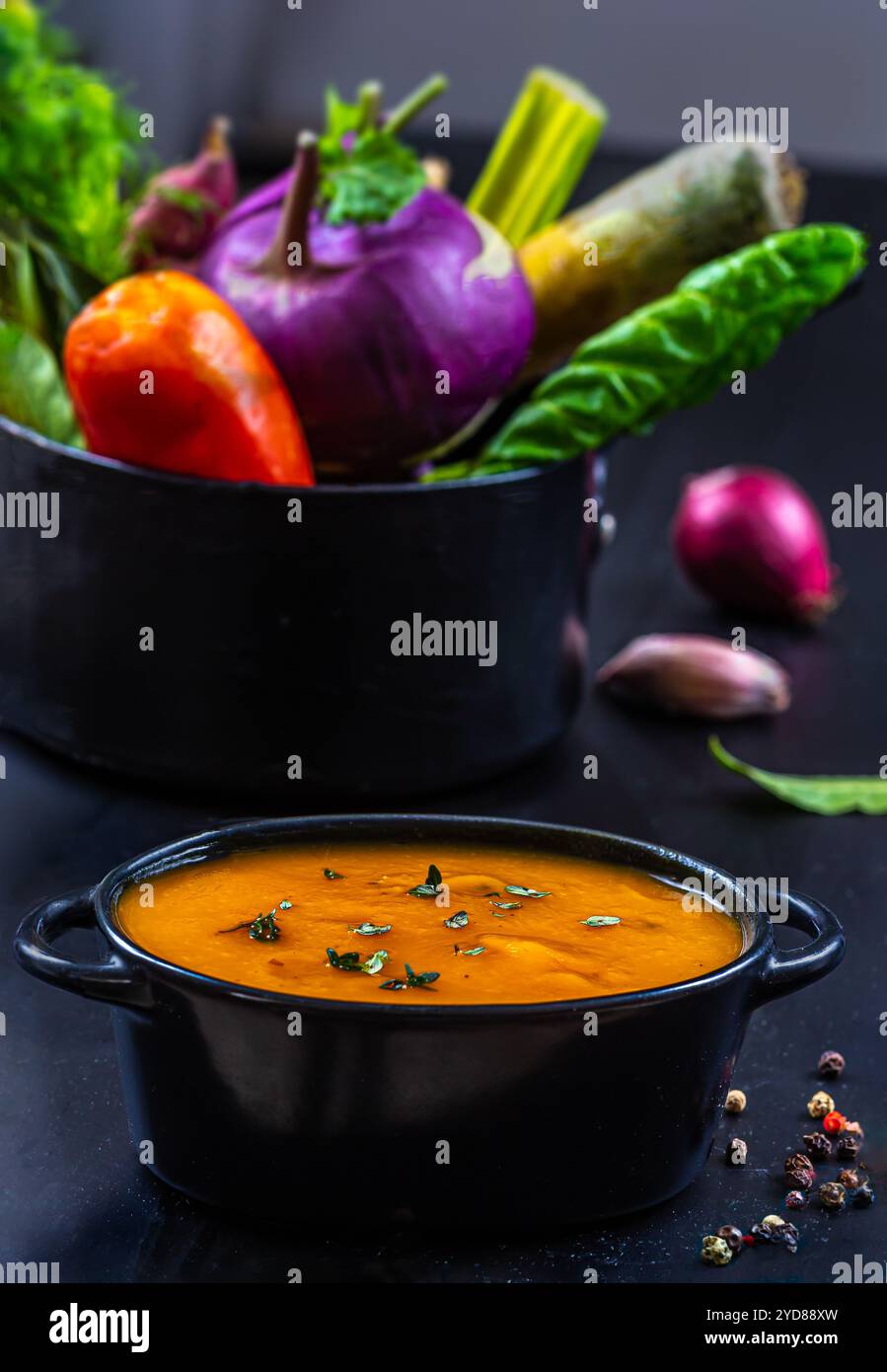 Konzeptionelles Foto einer Gemüsesuppe mit dem Gemüse, das aus der Pfanne überströmt. Stockfoto