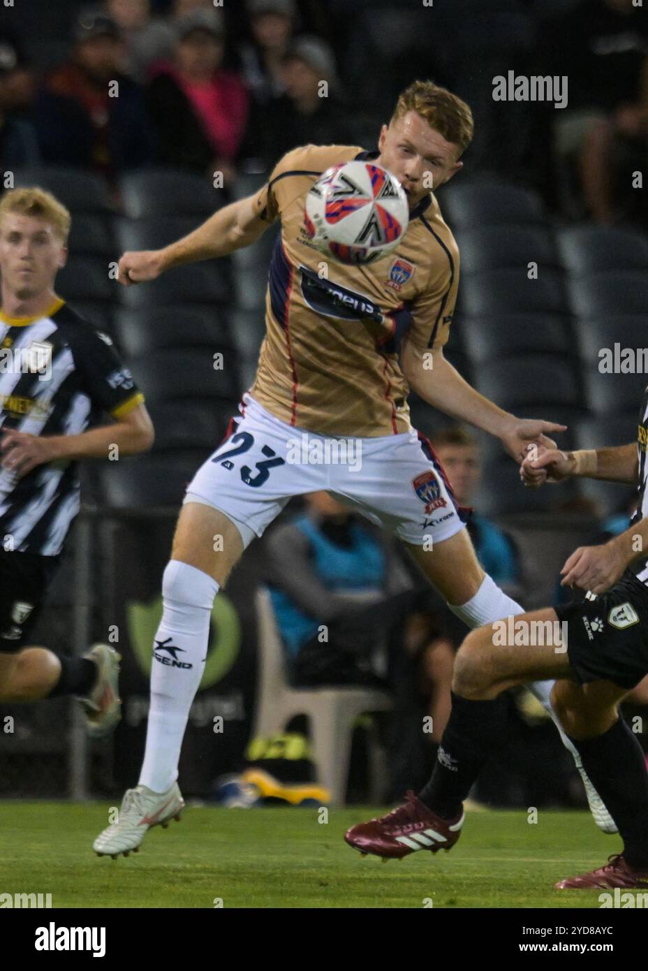 Leumeah, Australien. Oktober 2024. Daniel Wilmering vom Newcastle Jets FC wurde 2024-25 beim 2. Spiel der Isuzu UTE A-League zwischen Macarthur FC und Newcastle Jets FC im Campbelltown Stadium in Leumeah gezeigt. Endpunktzahl: Macarthur 1: 2 Newcastle Jets. Quelle: SOPA Images Limited/Alamy Live News Stockfoto