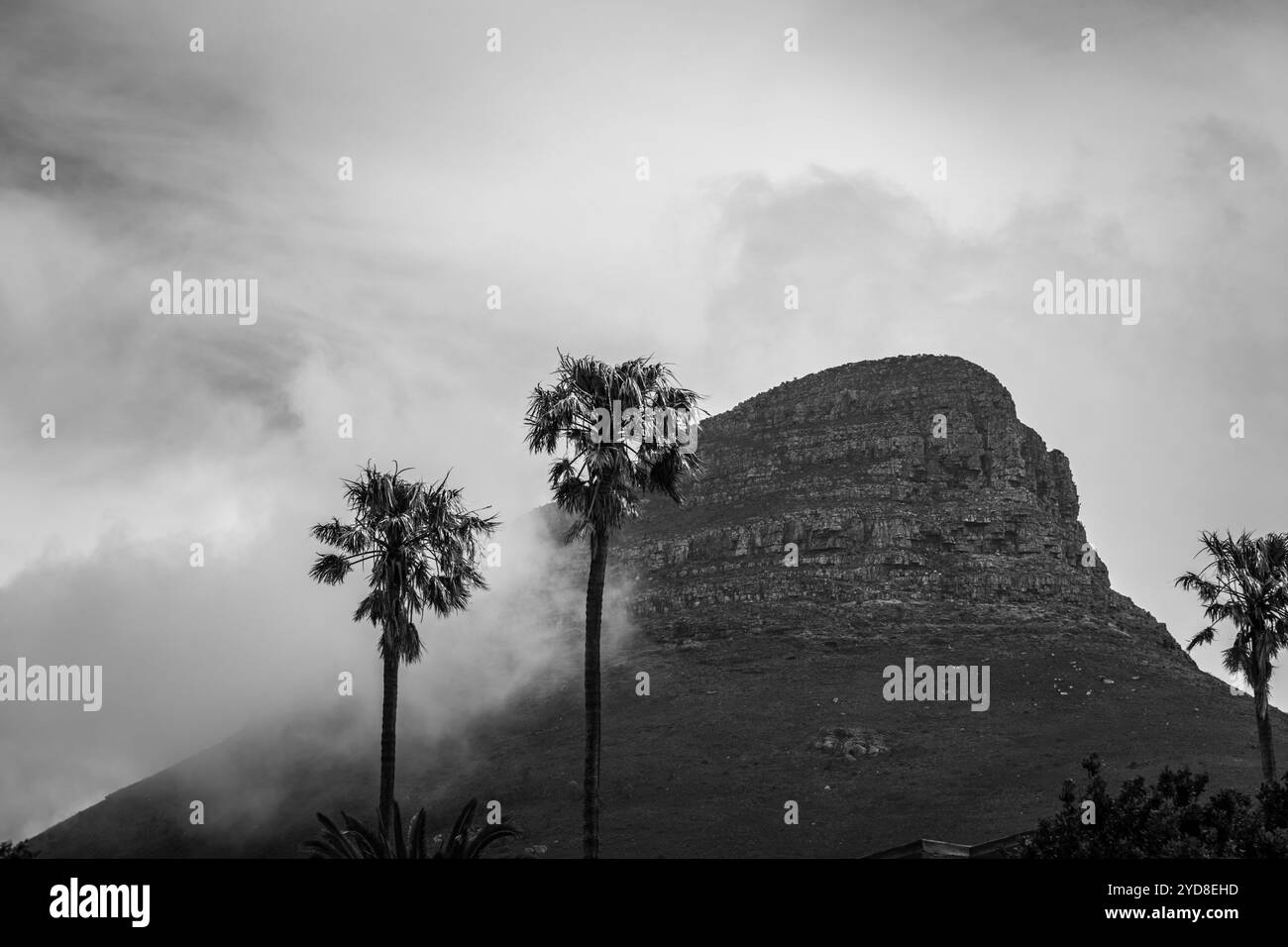 Die Wolken umhüllen die Löwen am Tafelberg in Kapstadt Stockfoto