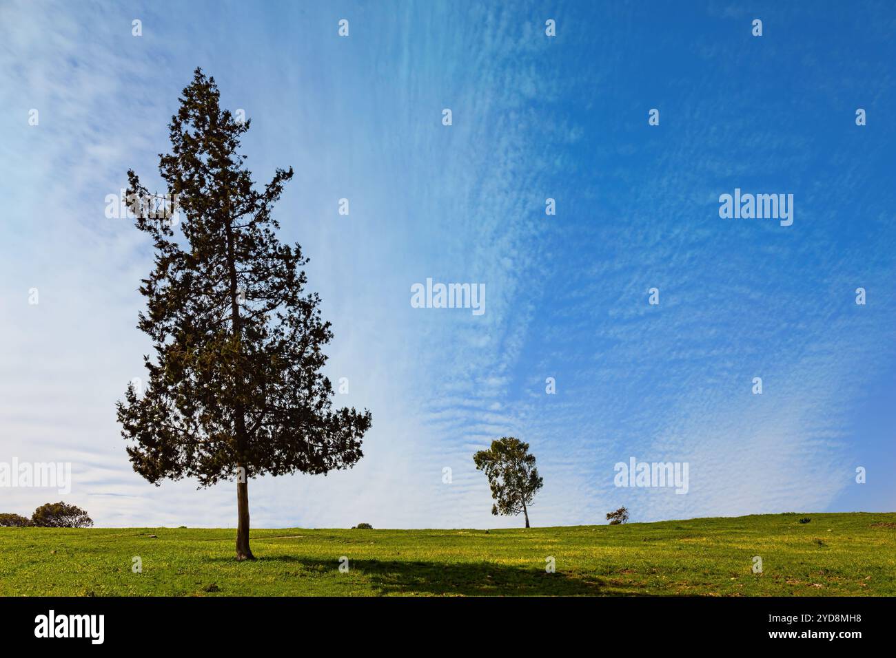 Die Grenze zum Gazastreifen. Stockfoto