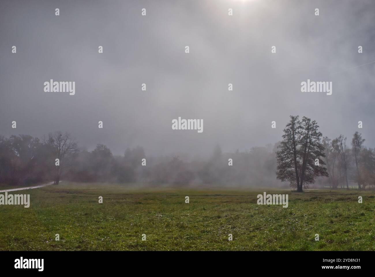Stimmungsvolle ländliche Landschaft mit Bäumen im Morgennebel und einem nebeligen Himmel in Bayern, Deutschland Stockfoto