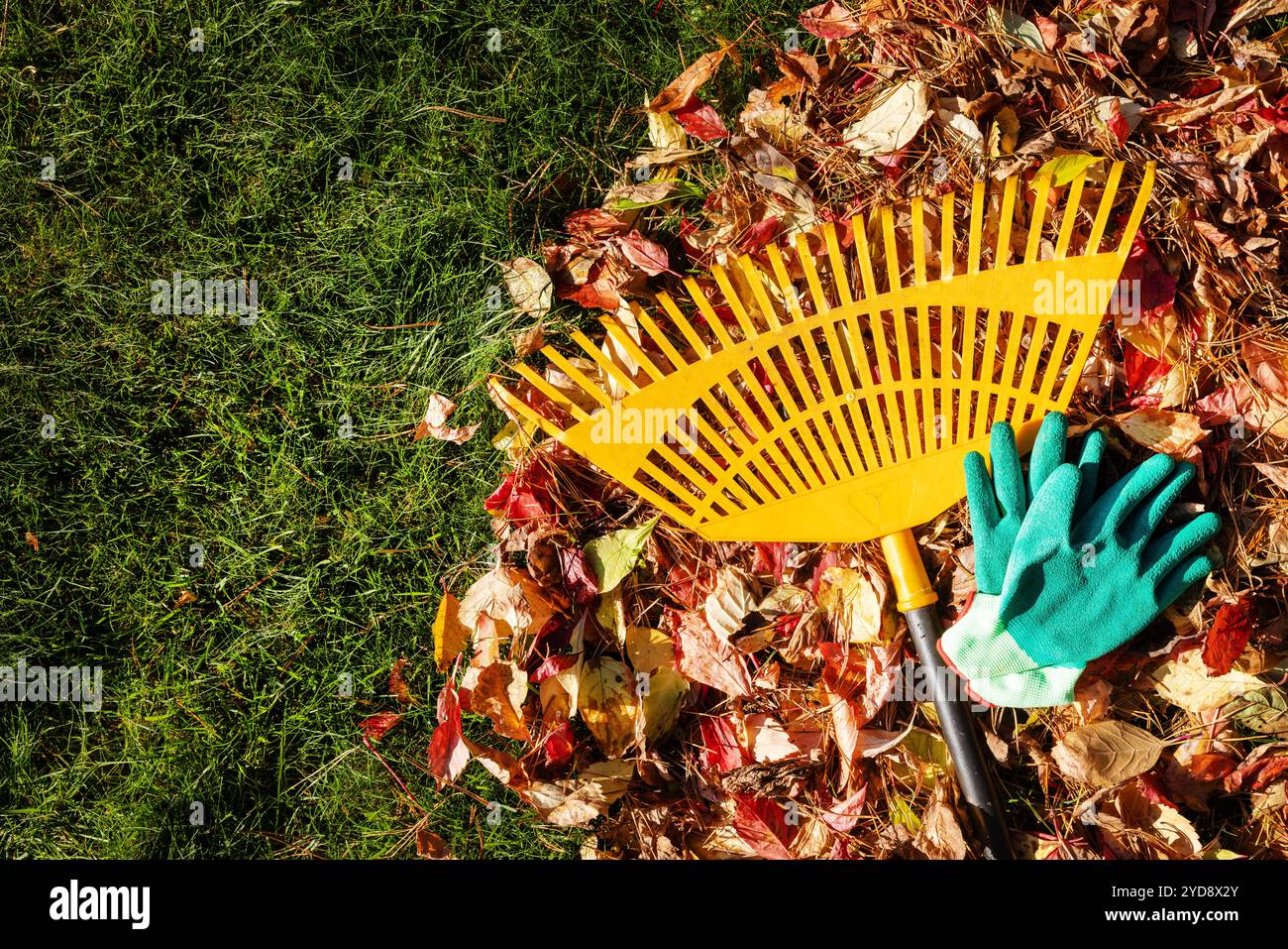 Rechen mit Gartenhandschuhen und Herbstlaub. Kopierbereich in der Draufsicht Stockfoto