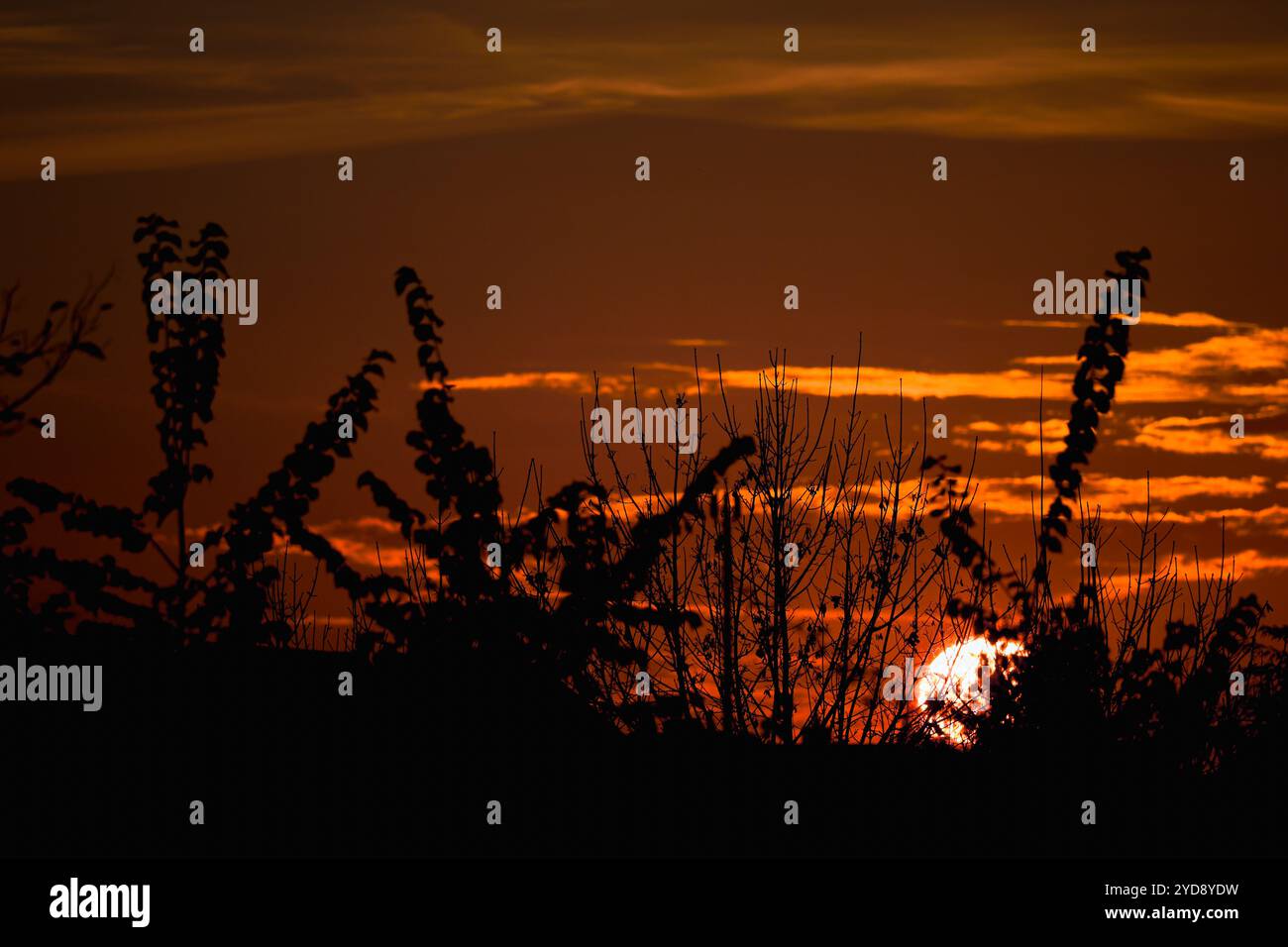 Der Himmel in leuchtenden Abendfarben während Sonnenuntergang Stockfoto
