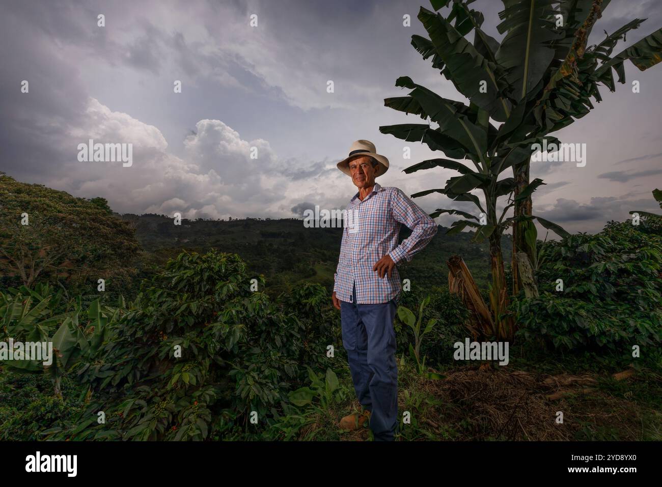 Don Andres ist der Eigentümer der Finca Los Angeles in Jardin, Kolumbien. Er und seine Familie produzieren exzellente Arabica-Produkte aus biologischem Anbau Stockfoto