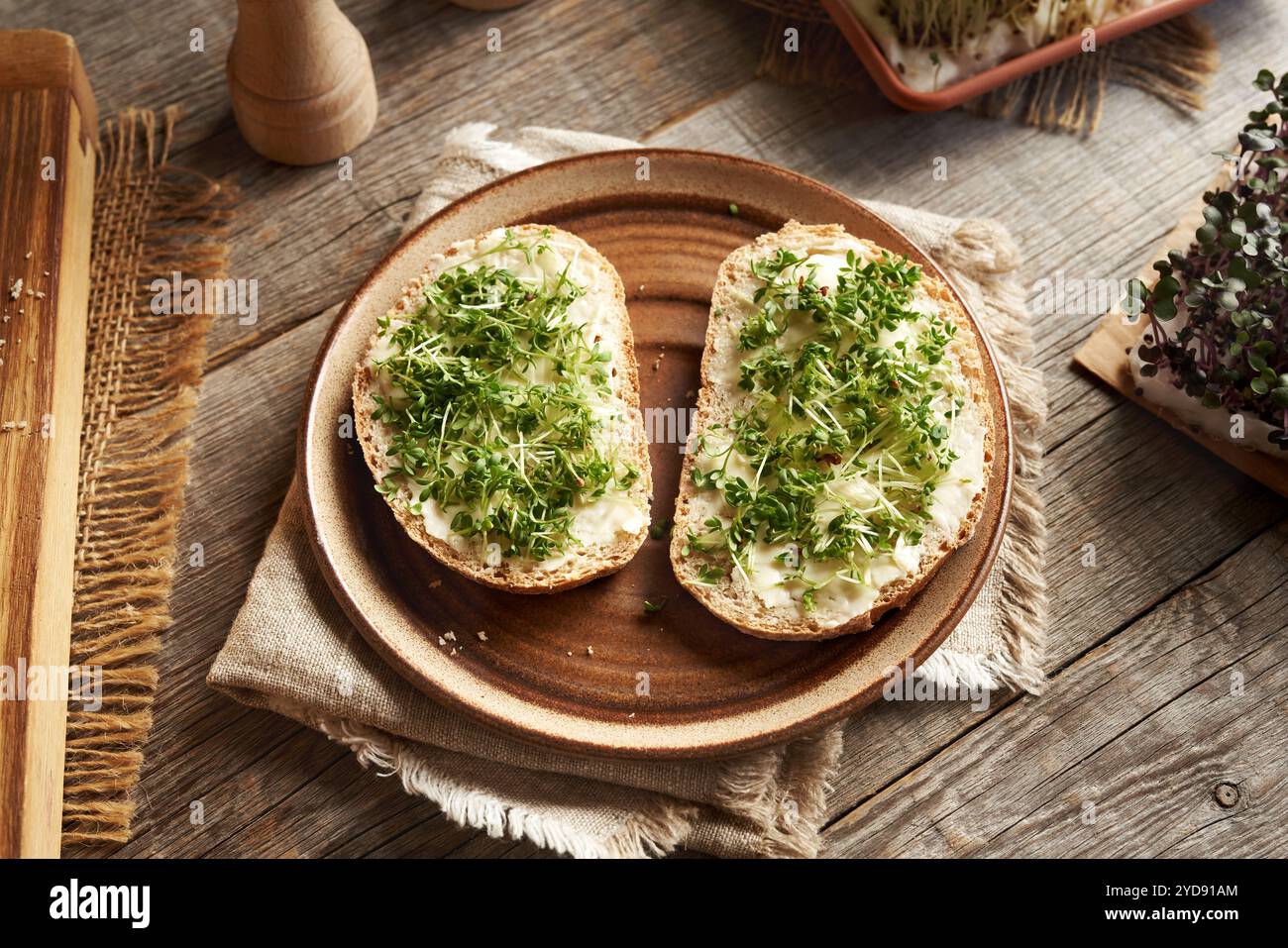 Zwei Scheiben Sauerteigbrot mit frischer, selbst angebauter Gartenkresse, Mikrogrün oder Sprossen Stockfoto