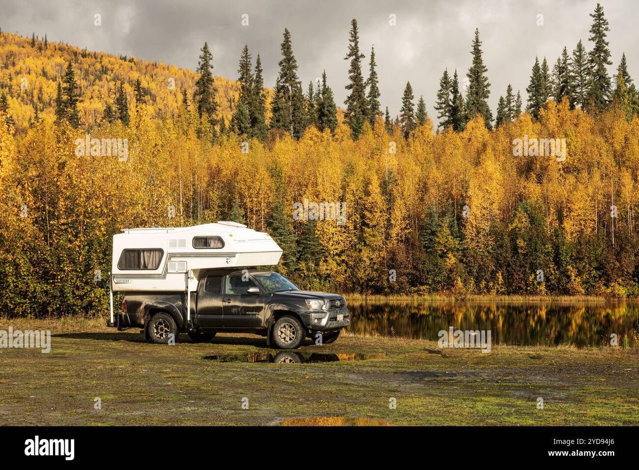 Herbstfarben; Chena River Recreation Area; Camping; Alaska Stockfoto