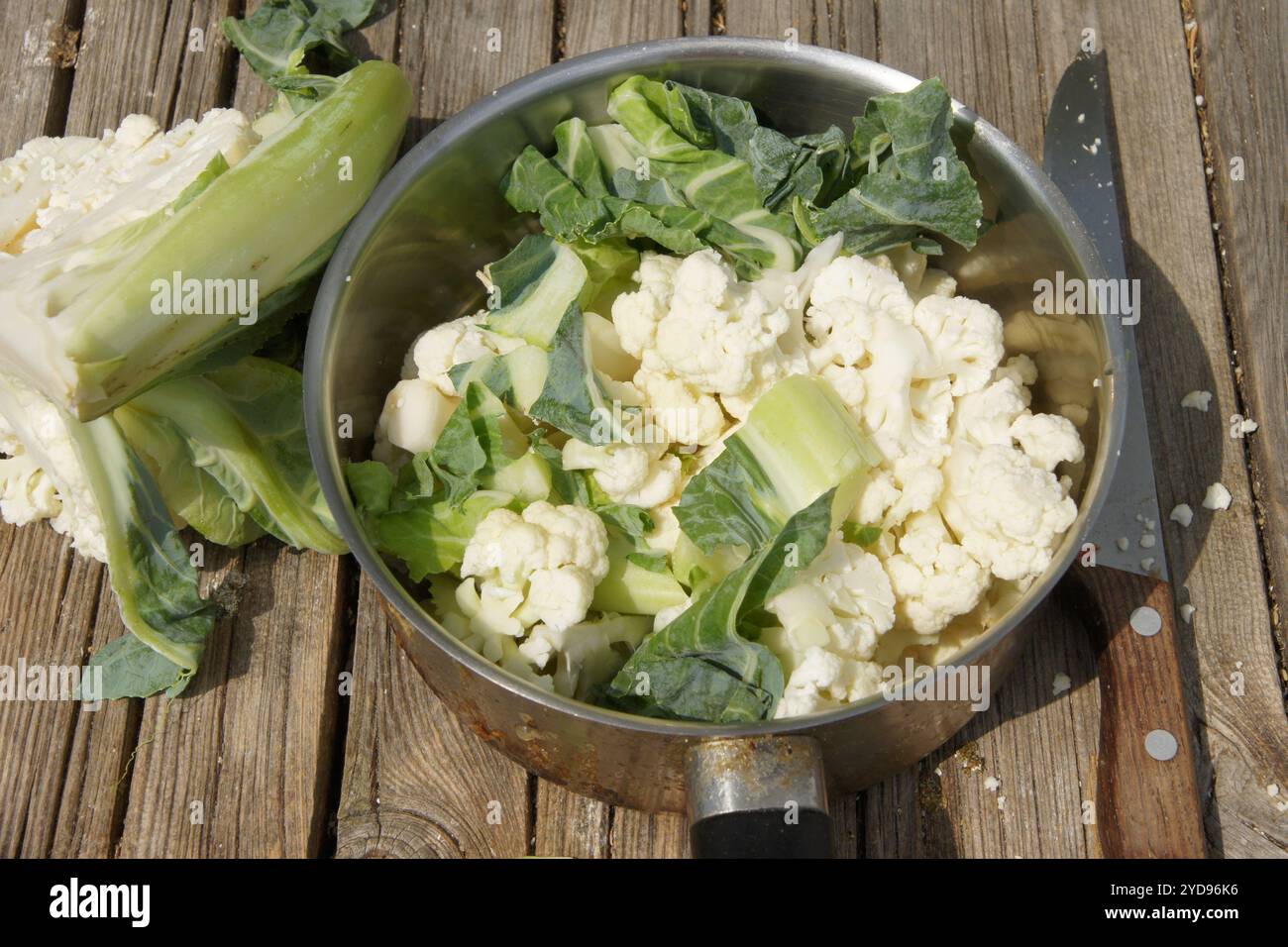 Brassica oleracea var. botrytis, Blumenkohl Stockfoto