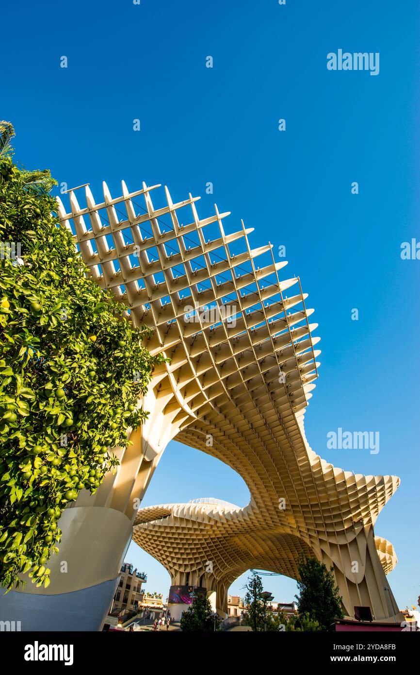 Pilzförmiges Metropol Parasol (Las Setas) Dach des Mercado de la Encarnacion (Encarnacion Markt), Sevilla, Andalusien, Spanien. Stockfoto