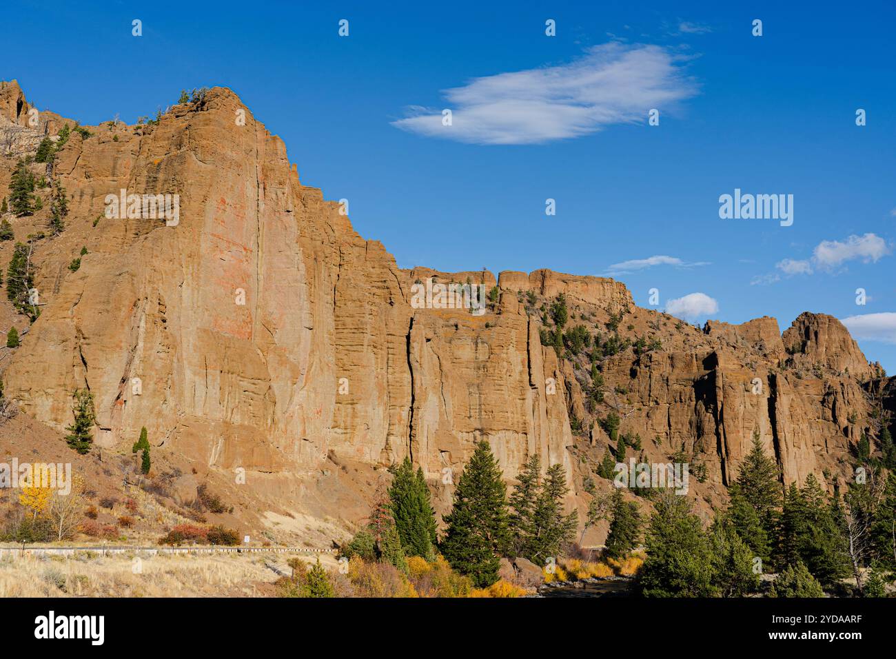 Sehen Sie sich die hohen Klippen an, die den Scenic Byway 14-16-20 im Shoshone National Forest in der Nähe von Cody, Wyoming, säumen. Sehen Sie den blauen Himmel oben und die Kiefern unten. Stockfoto