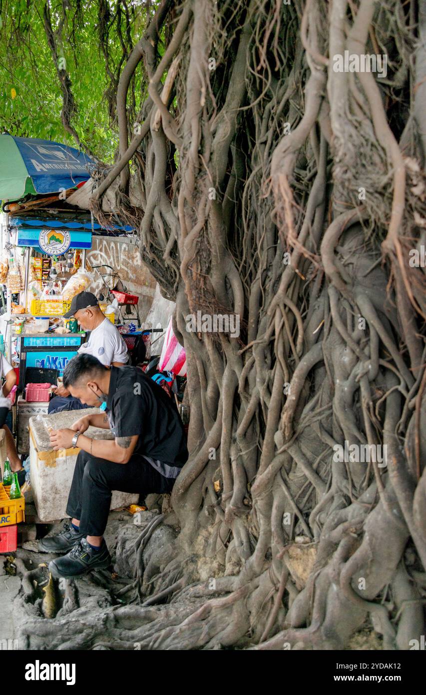 Manila-13. Januar 2023: Menschen, die kleine Speisen und Getränke an Straßenständen verkaufen, sitzen neben wilden Baumwurzeln und schleichen über die Mauer hinter sich. Stockfoto