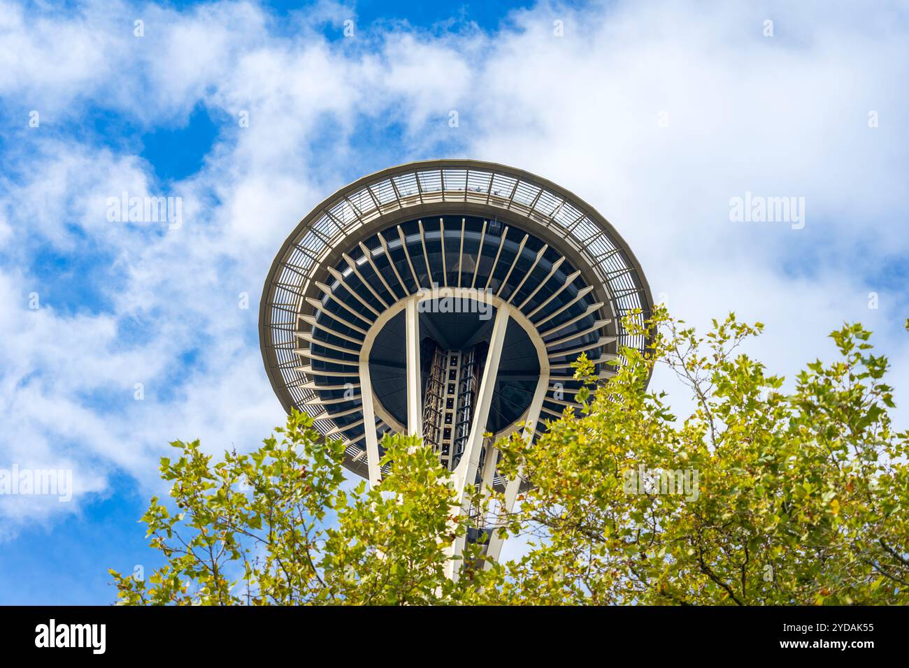 Seattle, Washington, USA - 19. September 2024: Blick auf den Space Needle Aussichtsturm mit einem Vorboden von Herbstblättern in Seattle, Waschen Stockfoto