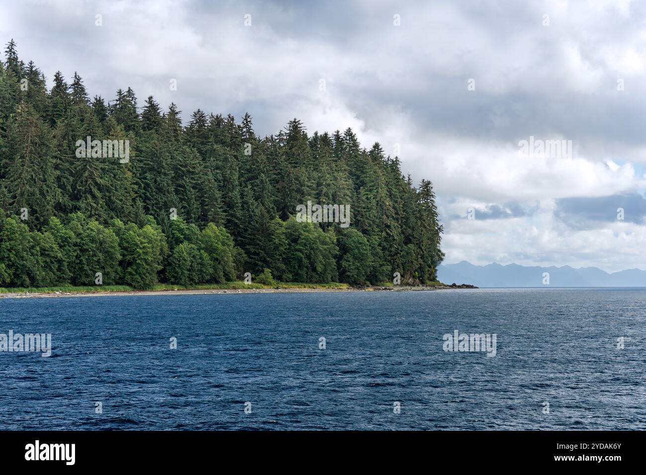 Eine Waldinsel mit grünen Kiefern und bewölktem Himmel in der Auke Bay bei Juneau, Alaska Stockfoto