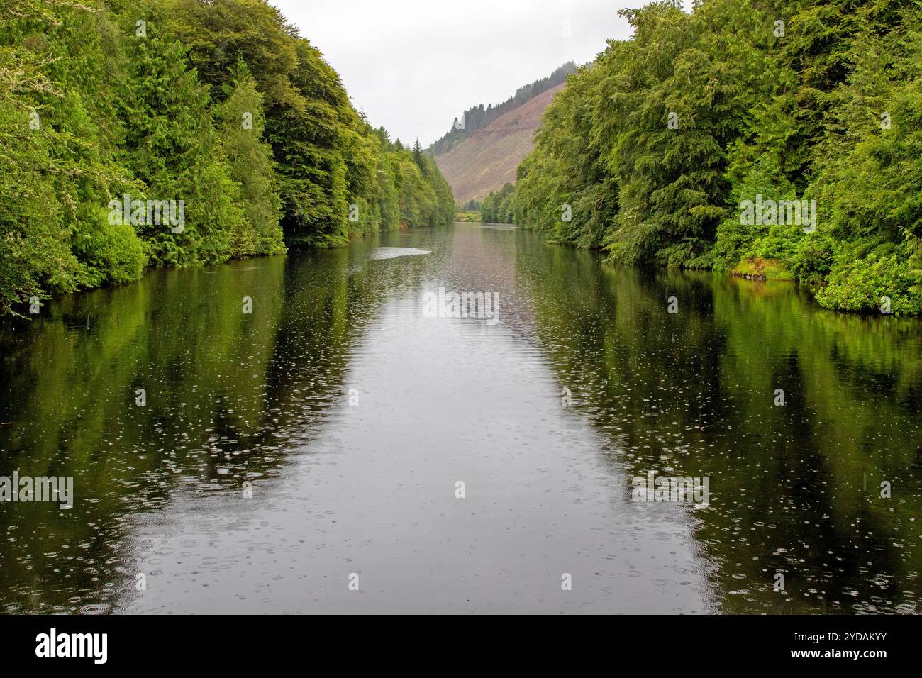 Der spektakuläre Abschnitt des Caledonian Canal, bekannt als Laggan Avenue Stockfoto