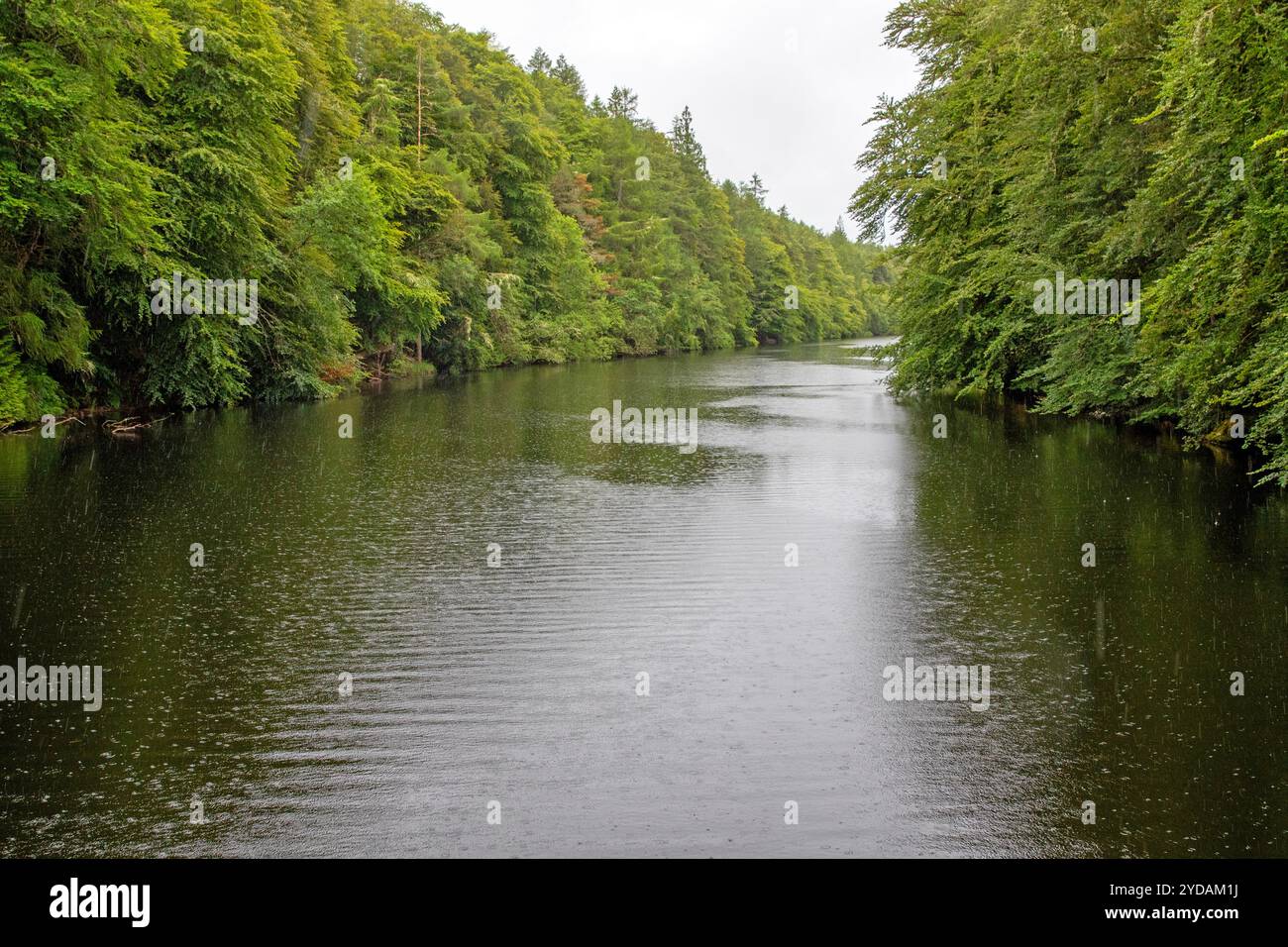 Der spektakuläre Abschnitt des Caledonian Canal, bekannt als Laggan Avenue Stockfoto