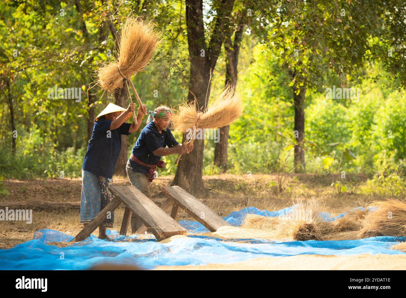 Für mehr als 70 % der thailändischen Landwirte ist das ländliche Leben eine Landwirtschaft. Stockfoto