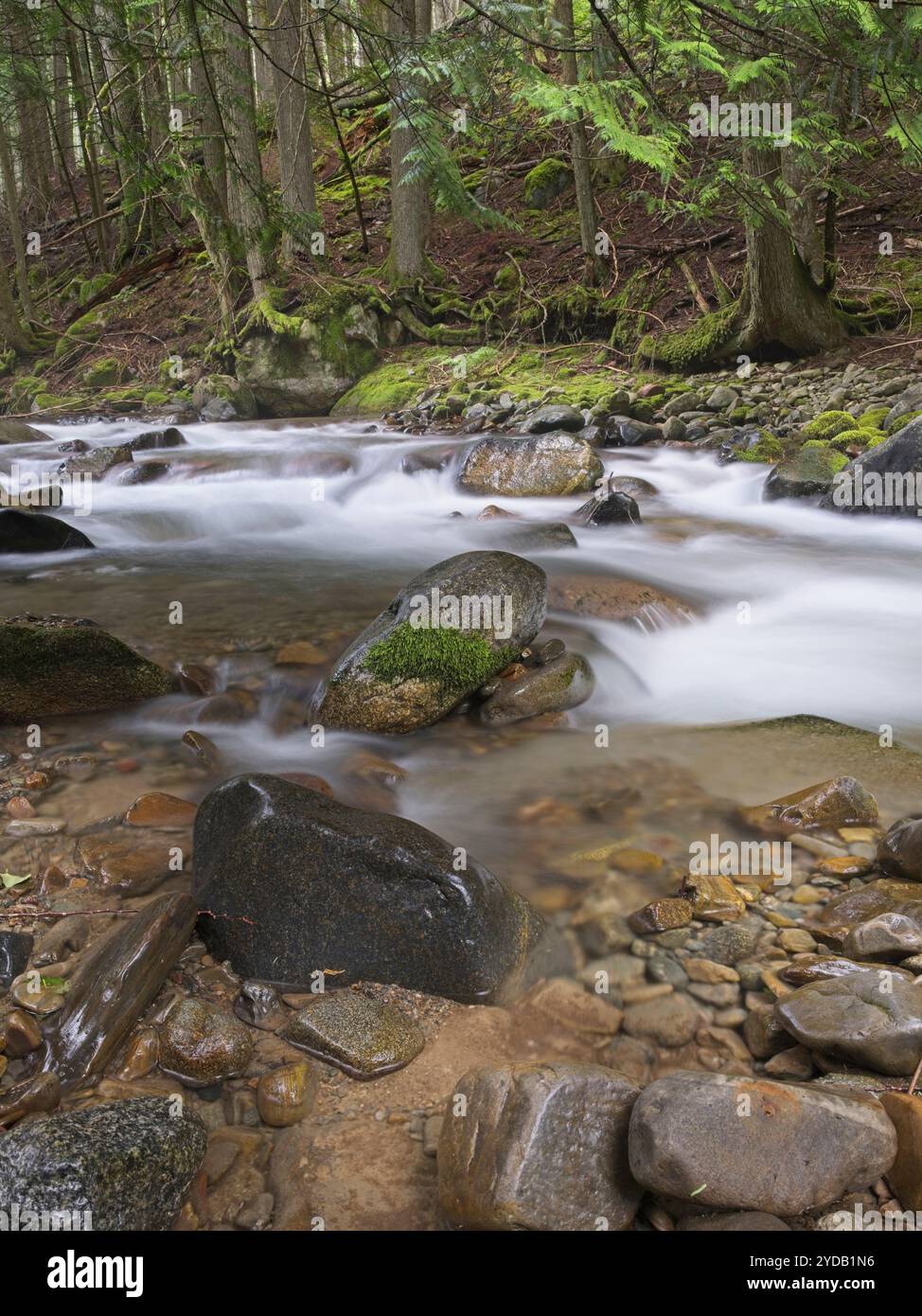 Felsen entlang des Trestle Creek in Idaho. Stockfoto