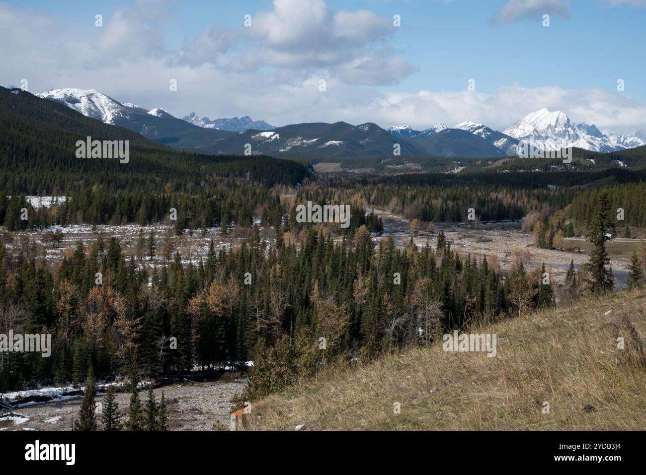 Kananaskis County in Alberta, Kanada vom Kananaskis Trail aus gesehen. Stockfoto