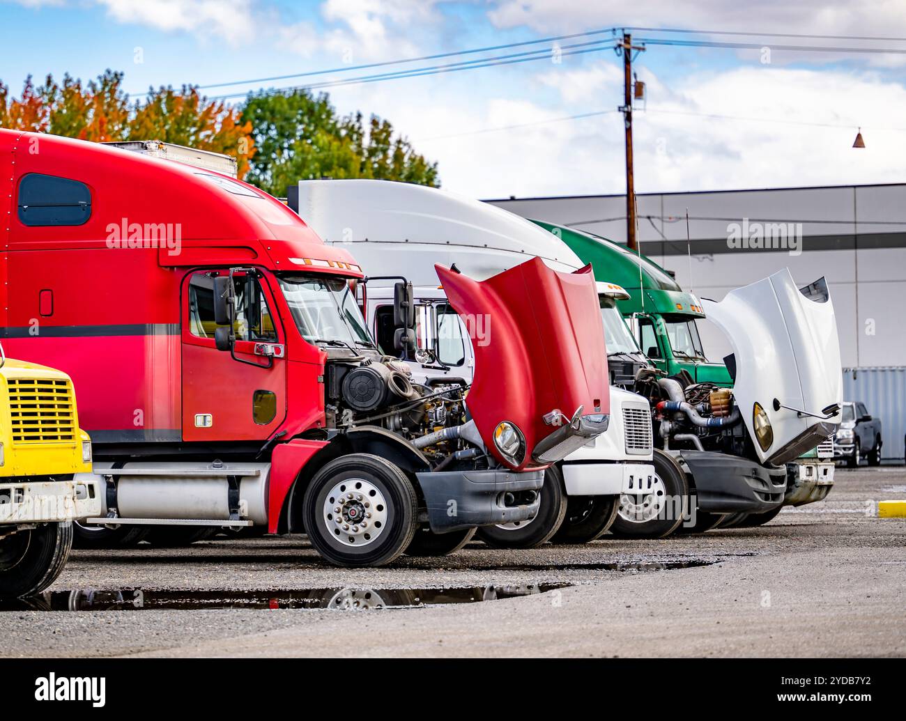 Verschiedene große Lkw mit offenen Hauben, die auf Industrieparkplätzen hintereinander stehen, führen vor dem Motor eine routinemäßige technische Inspektion durch Stockfoto