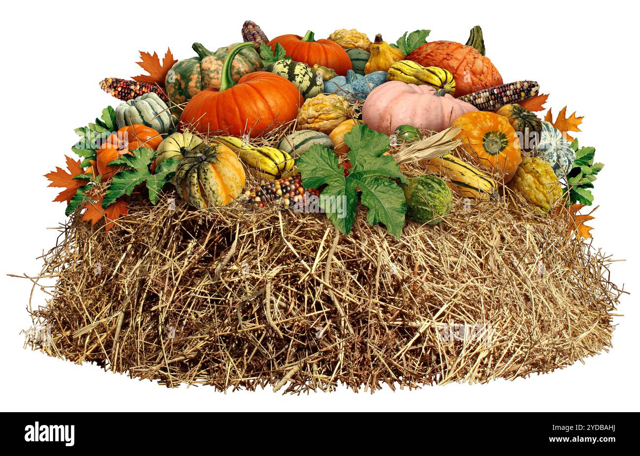 Erntedankfest als Herbstprodukt auf weißem Hintergrund als rustikales traditionelles Symbol für die Landwirtschaft im Herbst wie Kürbisse, Mais und Stockfoto