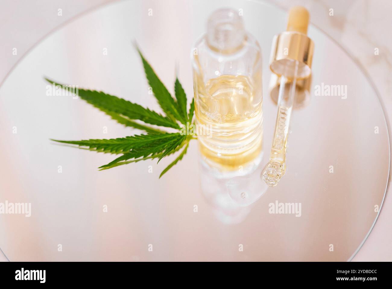Stellen Sie Kosmetikprodukte und Pipette der Flasche mit Cannabisblättern auf weißem glänzenden Hintergrund nach Stockfoto