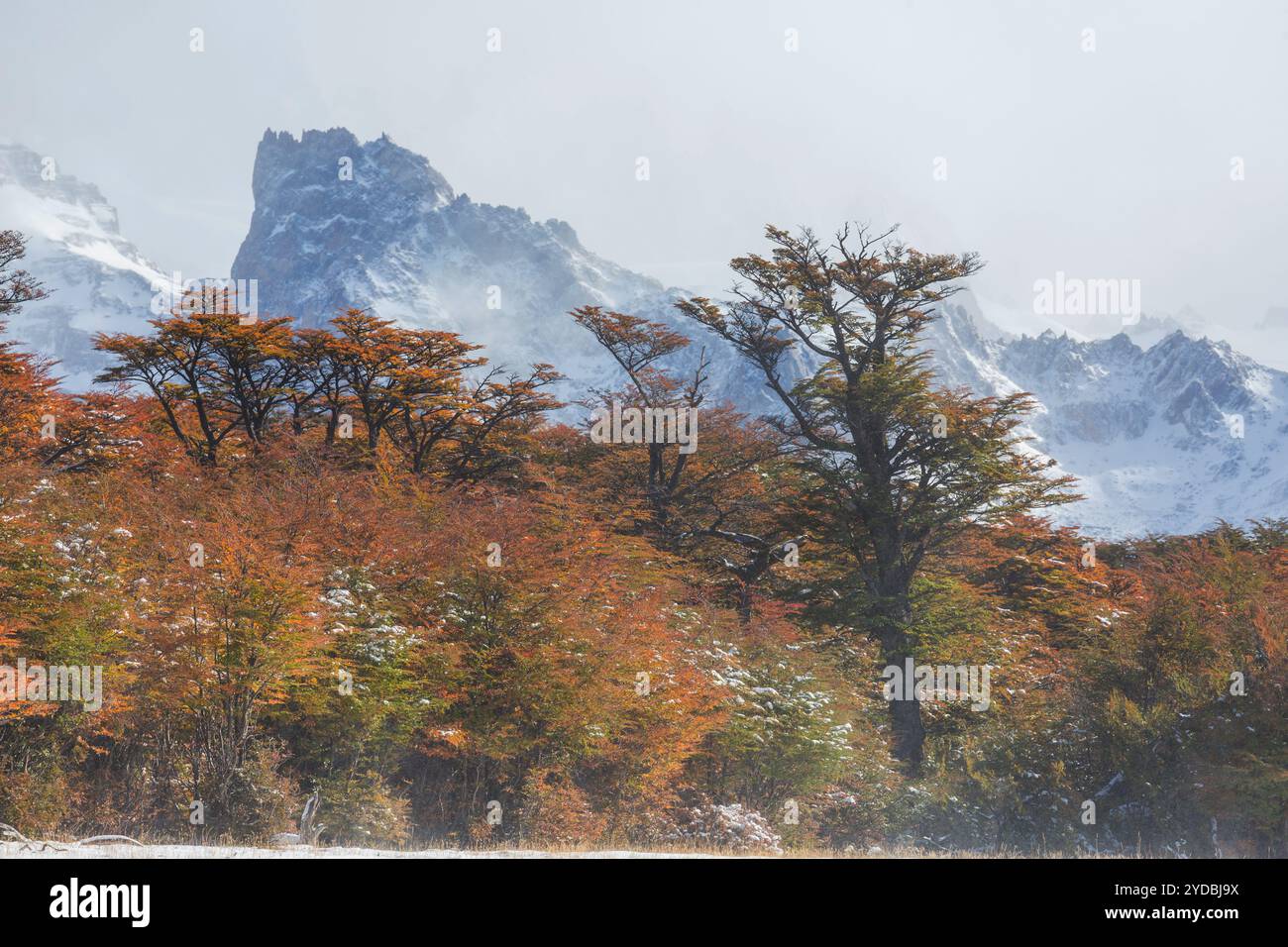 Herbst in Bergen Stockfoto