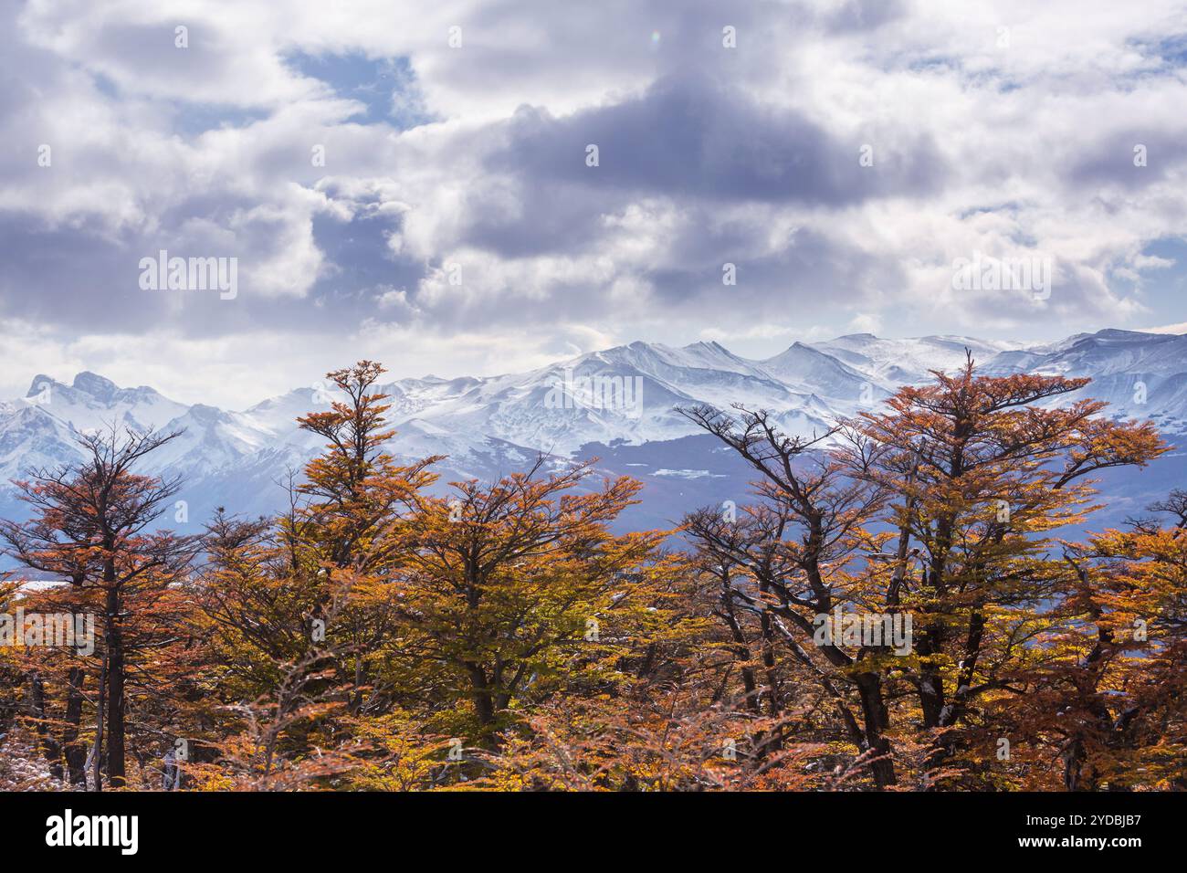 Herbst in Bergen Stockfoto
