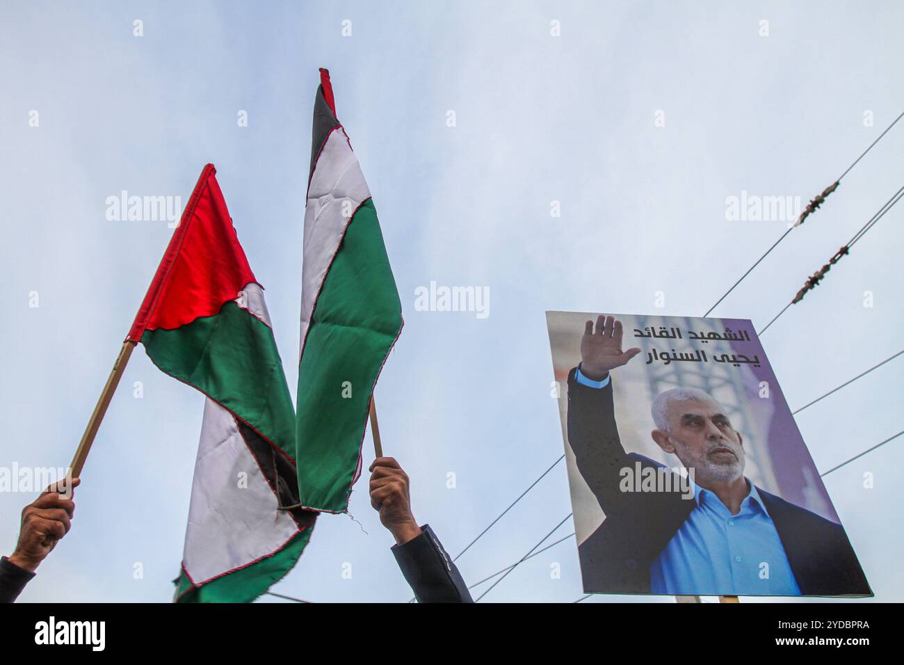 Tunis, Tunesien. 25. Oktober 2024. Bei einer Demonstration in Zentral-Tunis werden Bilder des ehemaligen Hamas-Führers Yahya Sinwar aufgeworfen, um die laufenden israelischen Bombardements auf Gaza und den Libanon sowie die Ermordung Israels an Hamas- und Hisbollah-Führern zu verurteilen. Bilder des getöteten Hisbollah-Generalsekretärs Hassan Nasrallah und des hochrangigen Führers der Hisbollah Hashem Safieddine wurden ebenfalls auf der Veranstaltung gezeigt Stockfoto