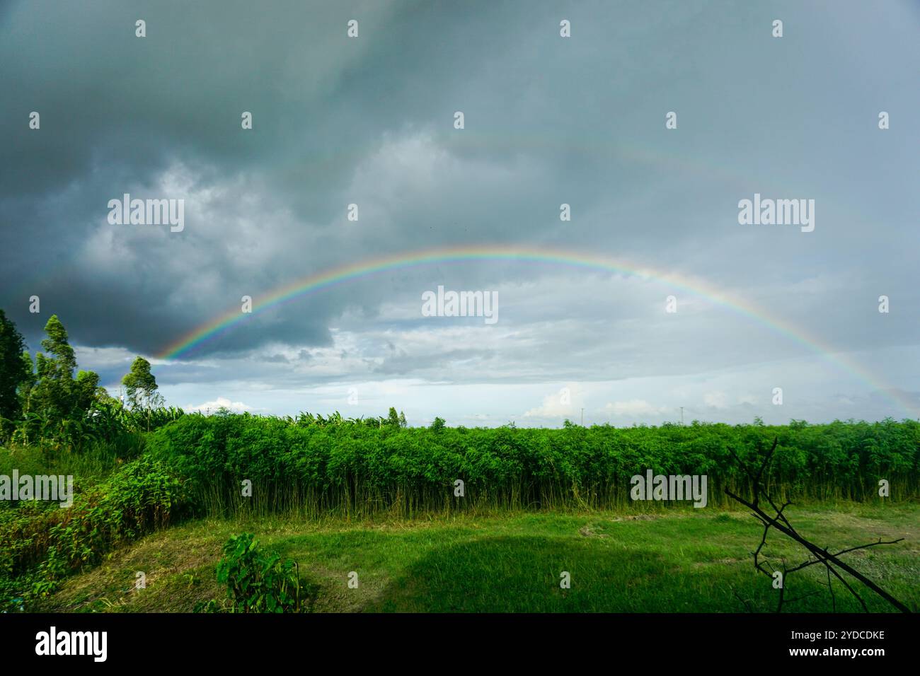 Wunderschöner Doppelregenbogen nach dem Regen am Himmel über der Feldlandschaft von Bangladesch Stockfoto