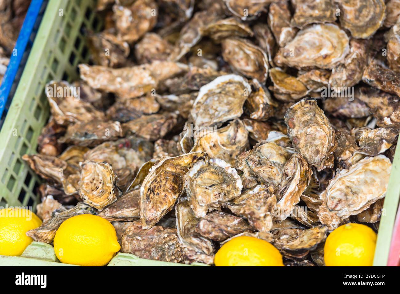 Austern Markt in Cancale, Frankreich Stockfoto