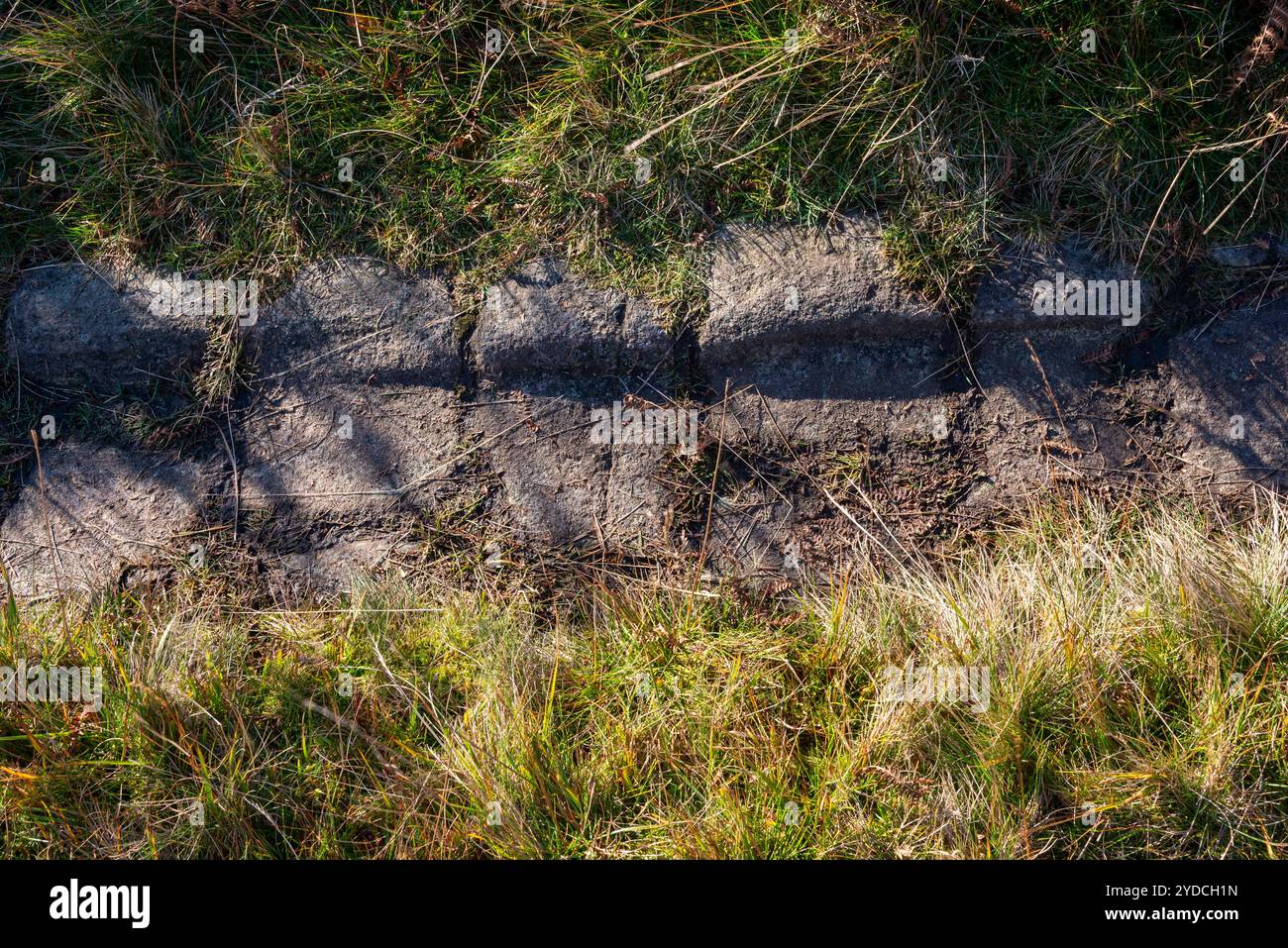 Alte Kopfsteinpflasterkante am Loftend Quarry, Crowden im Longdendale Valley, North Derbyhsire, England. Nahaufnahme von Kopfsteinpflaster, die bei Verwendung getragen wurden. Stockfoto