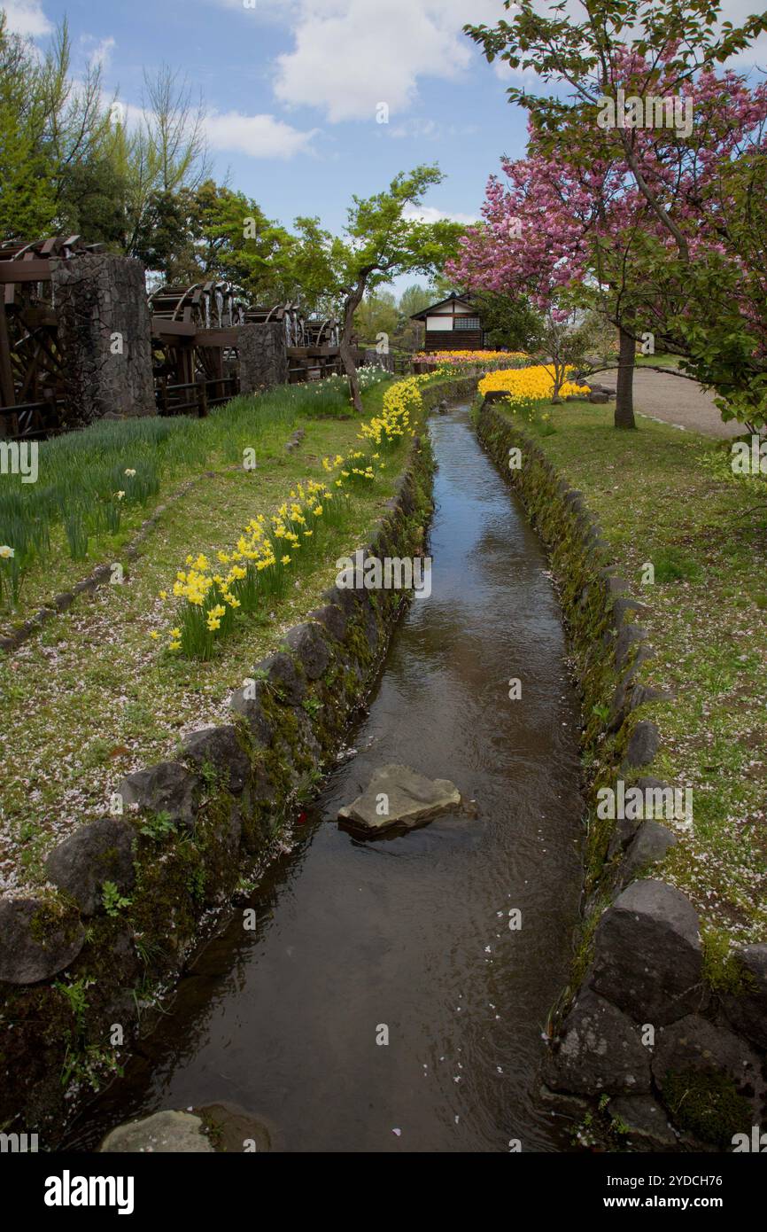 Die Stadt Tonami ist einer der führenden Hersteller von Tulpenzwiebeln. Das jährliche Tulpenfest findet jedes Jahr von Ende April bis Anfang Mai im Tonami Tulip Park statt. Die Tulpenmesse zeigt etwa 3 Millionen Tulpen, die in 600 verschiedenen Sorten in verschiedenen Farben und Sorten blühen, die bis ins Auge gefasst werden. Auf der Messe gab es einen 5 Meter hohen Tulpenbaum, schwimmende Tulpenschoten im Wasser, eine Tulpenförmige Aussichtsplattform, eine riesige Tulpenmauer und Gärten im niederländischen Stil. Das Hauptblumenbeet ist mit 210.000 Tulpen gefüllt, die alle in der Region angebaut werden. Das Festival zieht jährlich Tausende von Besuchern an Stockfoto
