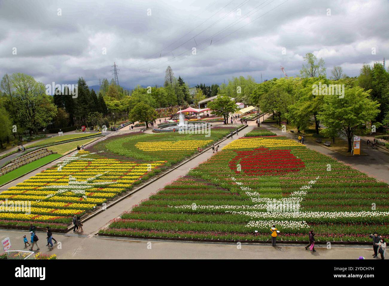 Die Stadt Tonami ist einer der führenden Hersteller von Tulpenzwiebeln. Das jährliche Tulpenfest findet jedes Jahr von Ende April bis Anfang Mai im Tonami Tulip Park statt. Die Tulpenmesse zeigt etwa 3 Millionen Tulpen, die in 600 verschiedenen Sorten in verschiedenen Farben und Sorten blühen, die bis ins Auge gefasst werden. Auf der Messe gab es einen 5 Meter hohen Tulpenbaum, schwimmende Tulpenschoten im Wasser, eine Tulpenförmige Aussichtsplattform, eine riesige Tulpenmauer und Gärten im niederländischen Stil. Das Hauptblumenbeet ist mit 210.000 Tulpen gefüllt, die alle in der Region angebaut werden. Das Festival zieht jährlich Tausende von Besuchern an Stockfoto