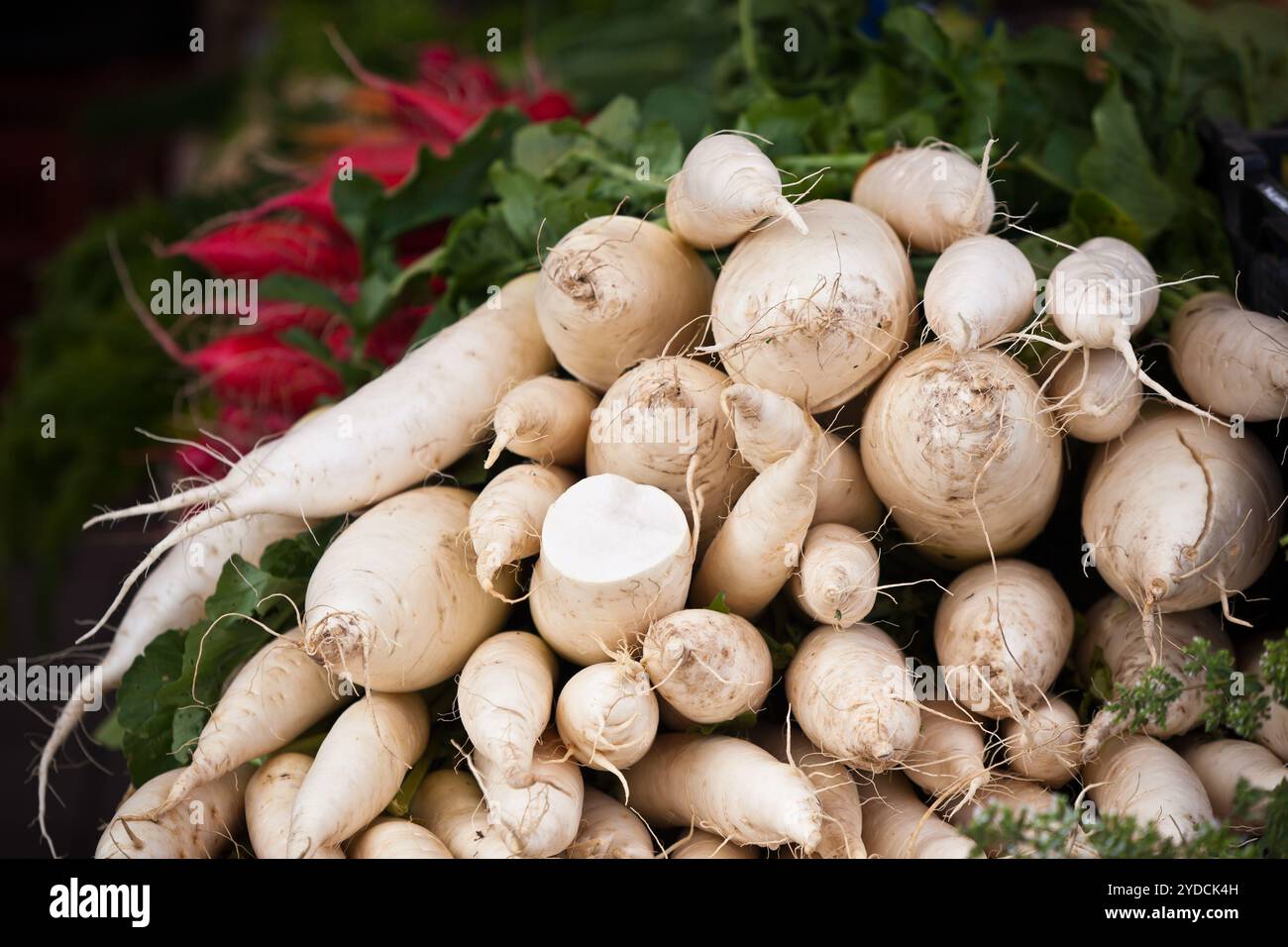 Weiße Radieschen stapeln sich auf einem Markt Stockfoto