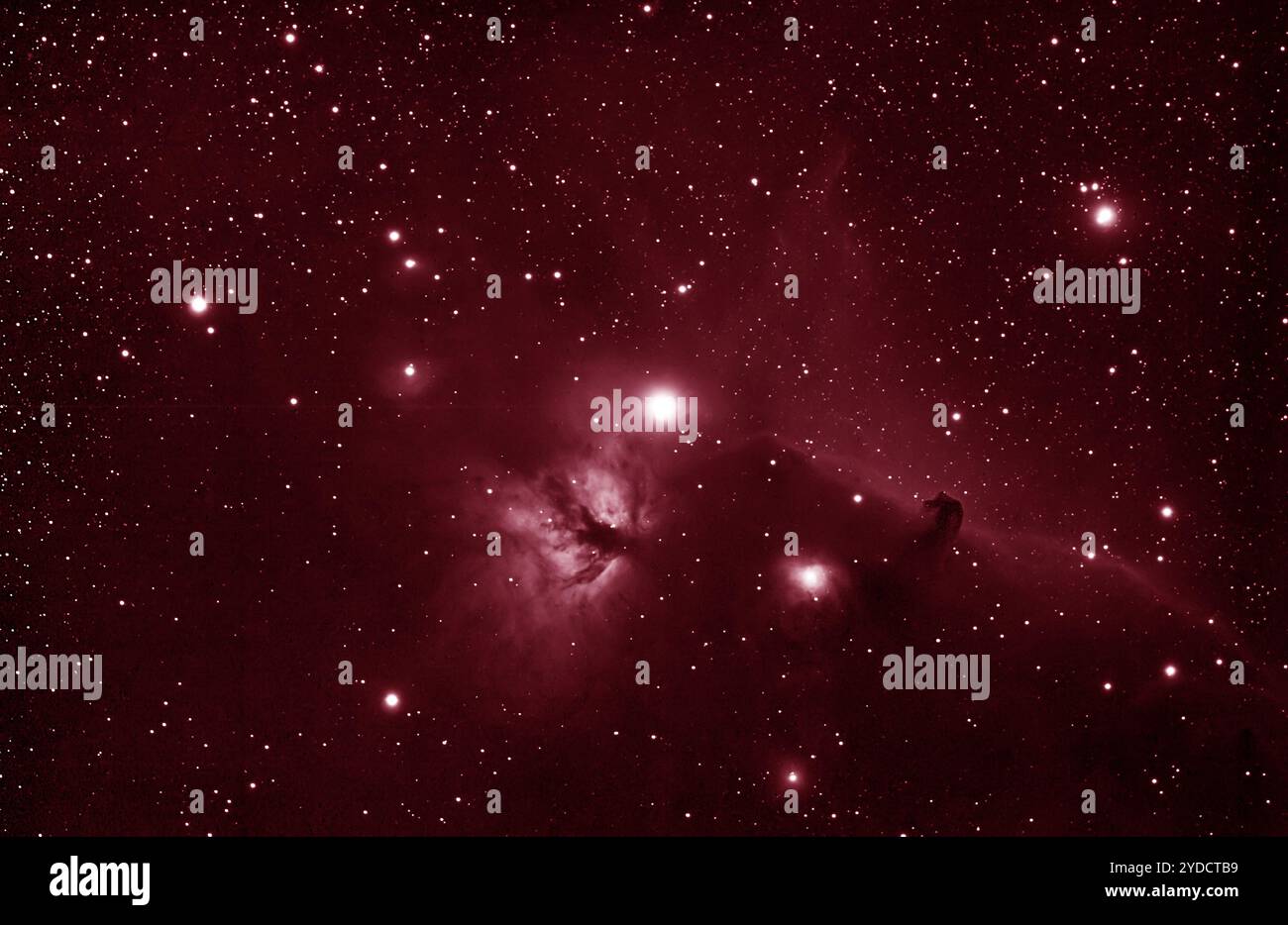 Der Horsehead-Nebel in Orion, Barnard 33, 1.500 Lichtjahre von der Erde entfernt Stockfoto