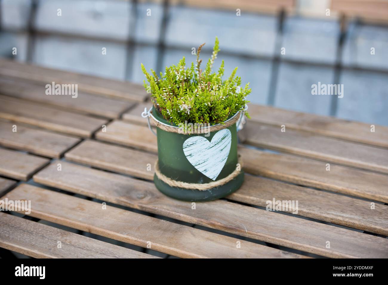 Grüner Topf mit Blume und Herz auf dem Tisch in einem Café Stockfoto