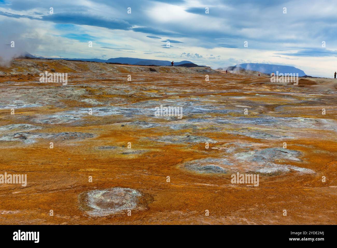 Heiße Schlammtöpfe im Geothermiegebiet Hverir, Island Stockfoto