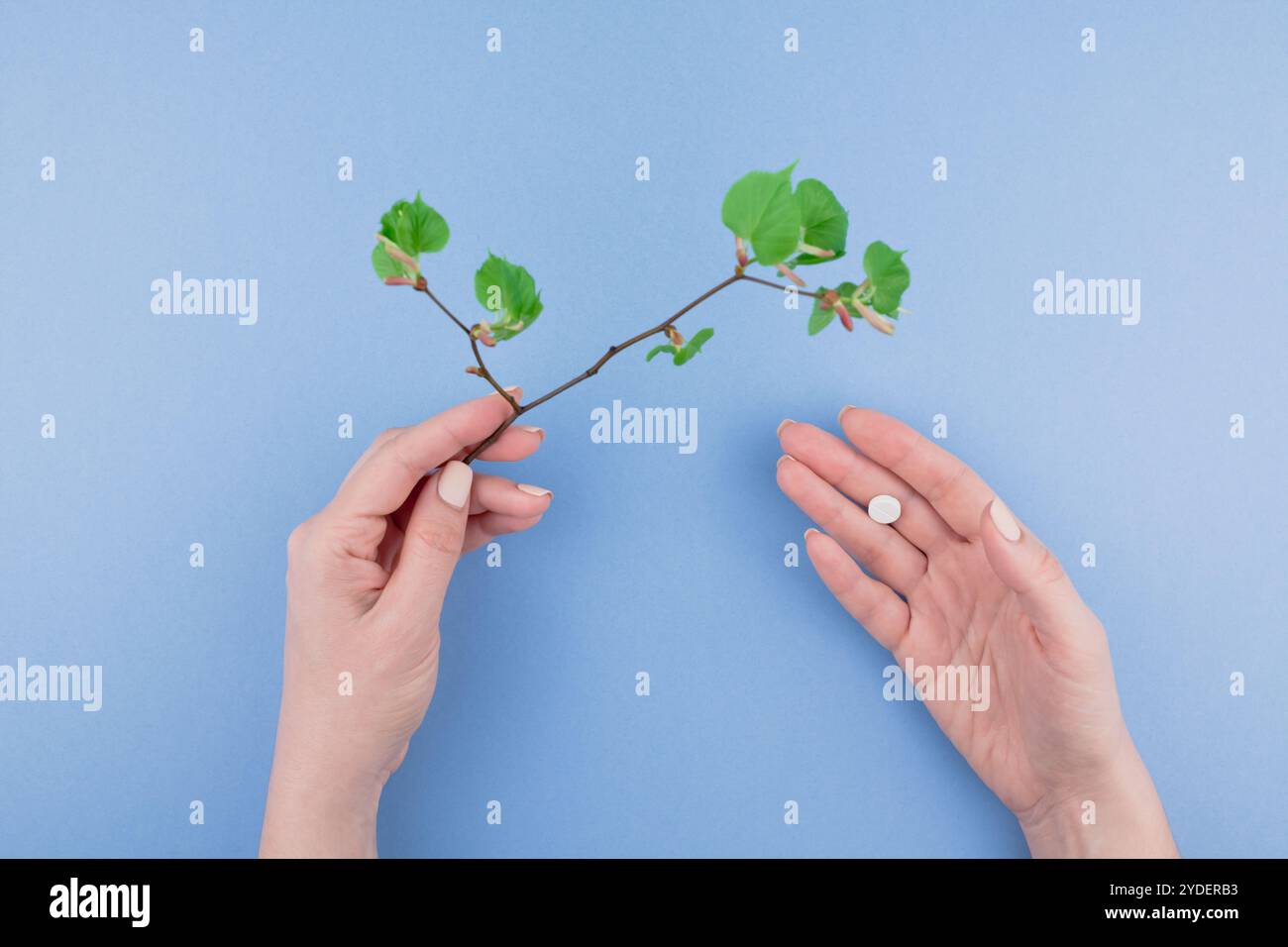 Das Konzept der jahreszeitlichen Frühjahrsallergie Stockfoto