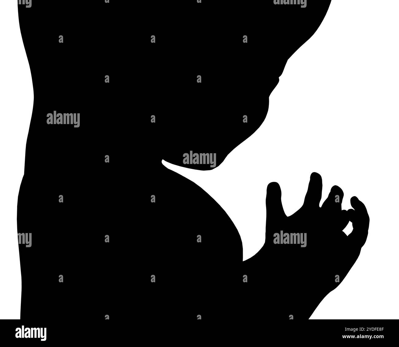 Silhouette des grafischen Fetus-Symbols. Menschliches Embryo-Silhouettenzeichen isoliert auf weißem Hintergrund. Vektorabbildung Stock Vektor