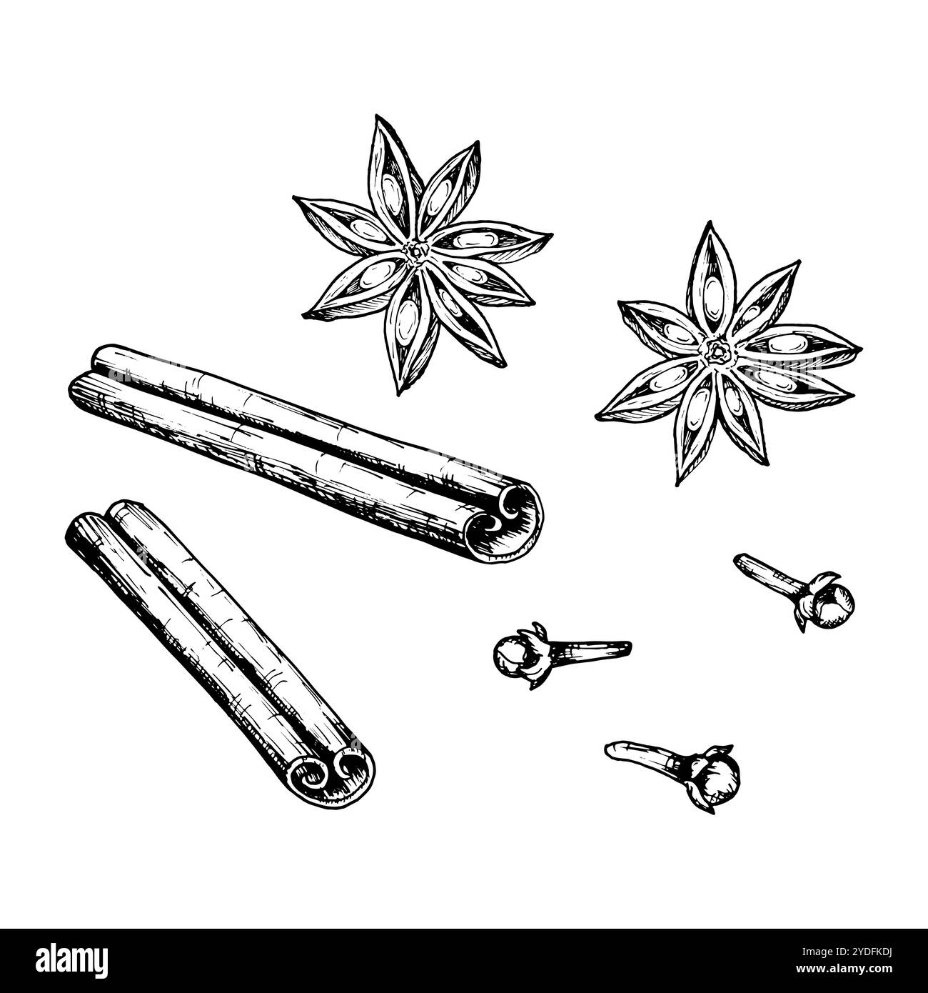 Vektortinte gezeichneter Clipart aus Zimtstäbchen, Sternanis und Nelken. Perfekt für Weihnachtsdrucke, Gewürzdesign, heiße Wintergetränke: Punsch Stock Vektor