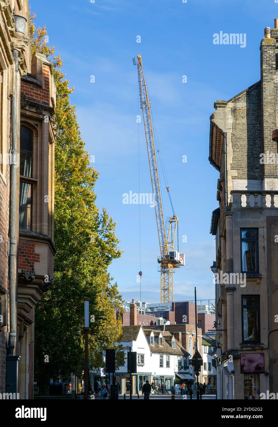 Liebherr 160 HC-L 8/16 Litronic Wiffing Jib Crane Turmkran, Cambridge, Cambridgeshire, England, Großbritannien Stockfoto